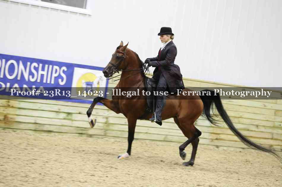Proof Number 23R13_14623
