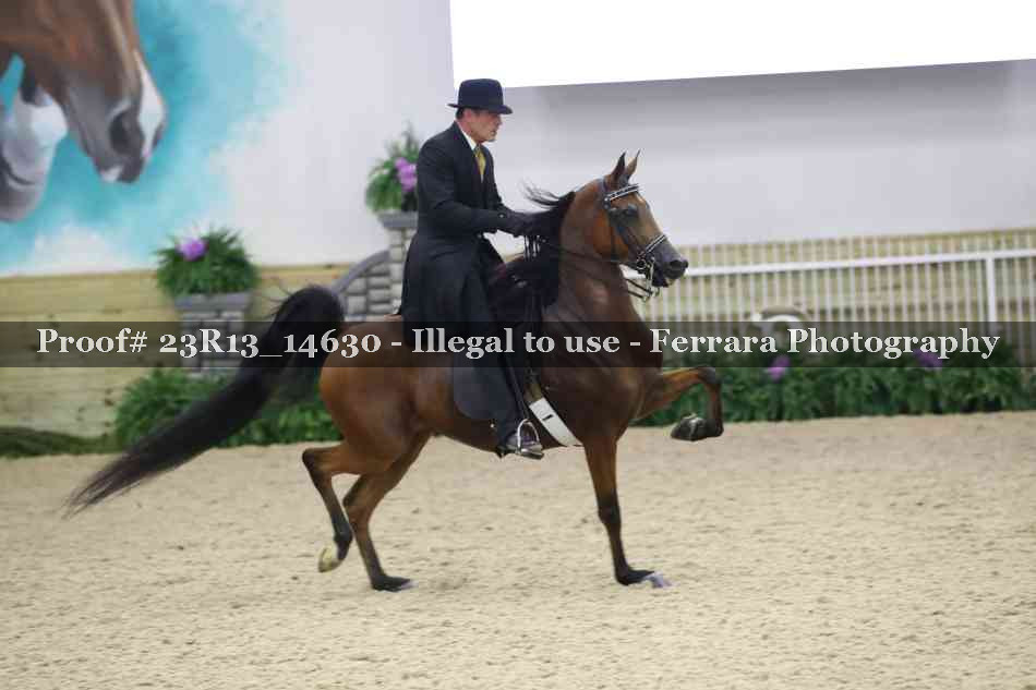 Proof Number 23R13_14630