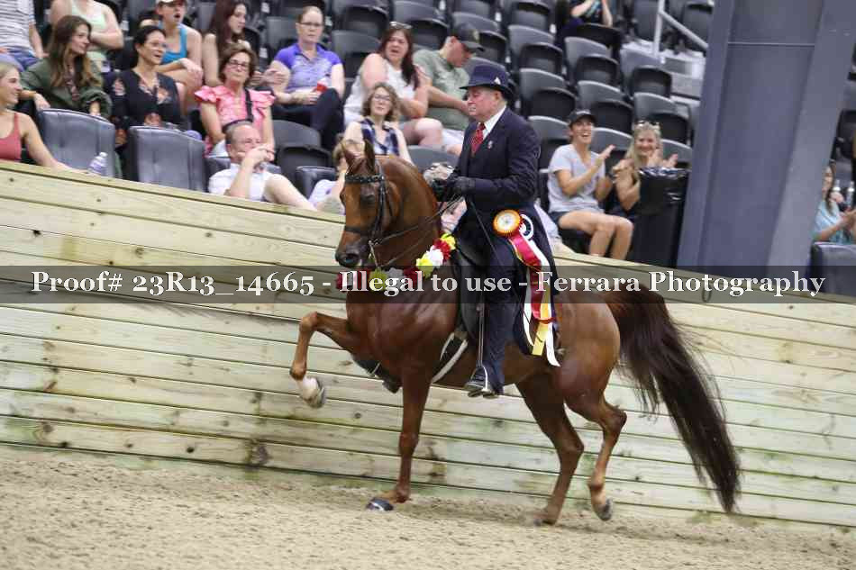 Proof Number 23R13_14665