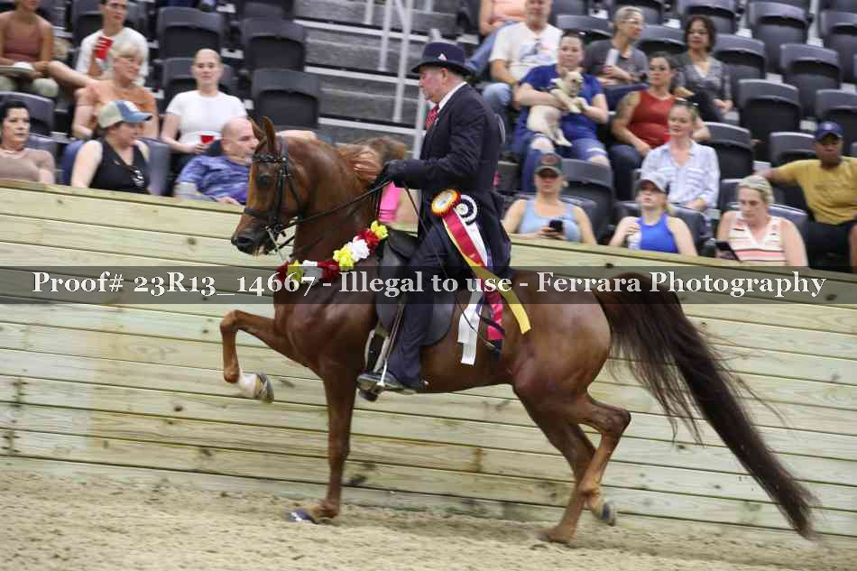Proof Number 23R13_14667