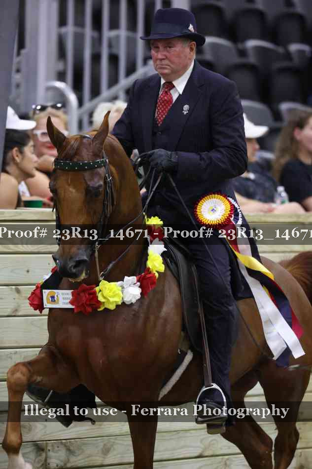 Proof Number 23R13_14671