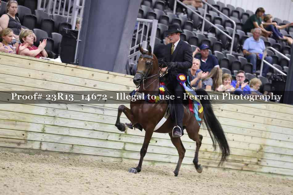 Proof Number 23R13_14672