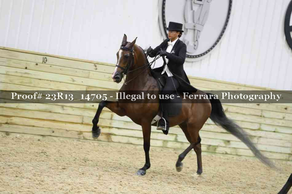 Proof Number 23R13_14705