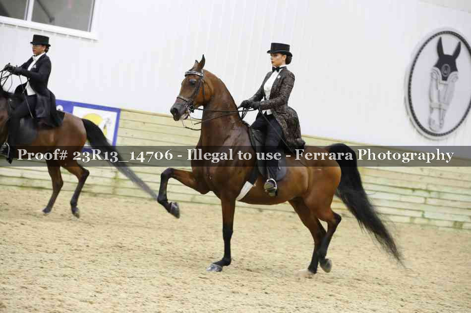 Proof Number 23R13_14706