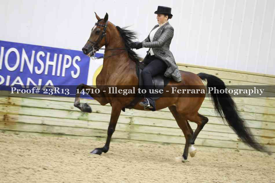 Proof Number 23R13_14710