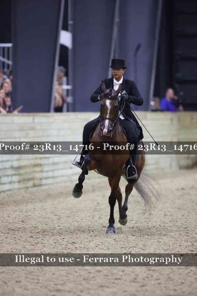 Proof Number 23R13_14716