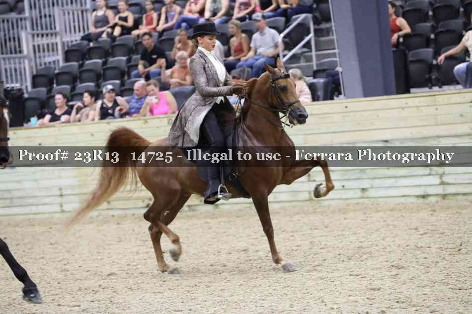 Proof Number 23R13_14725