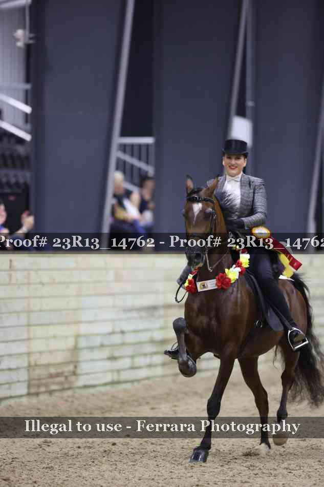Proof Number 23R13_14762