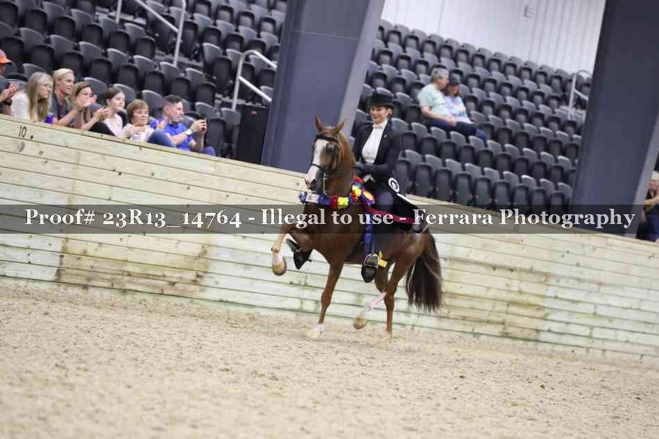 Proof Number 23R13_14764
