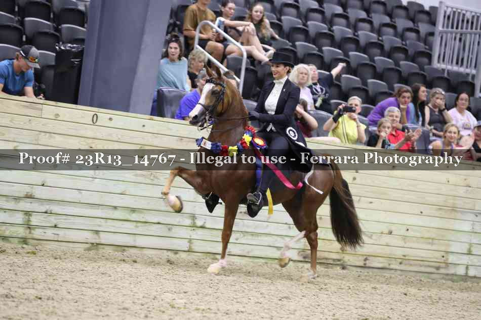 Proof Number 23R13_14767