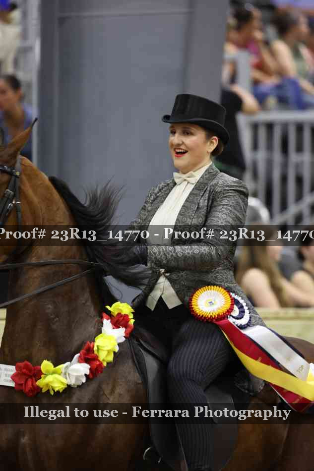 Proof Number 23R13_14770