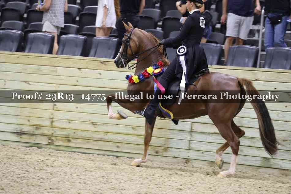 Proof Number 23R13_14775
