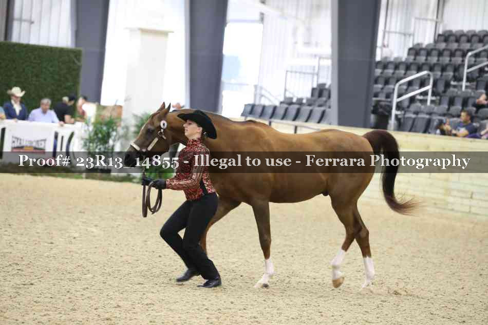 Proof Number 23R13_14855
