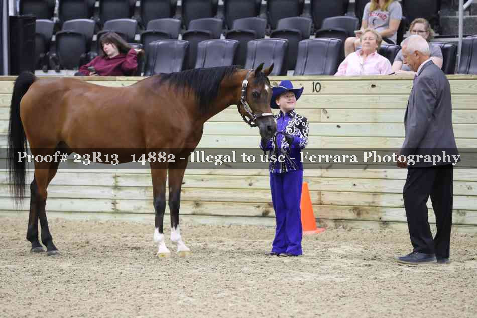 Proof Number 23R13_14882