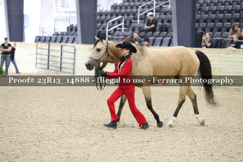 Proof Number 23R13_14888