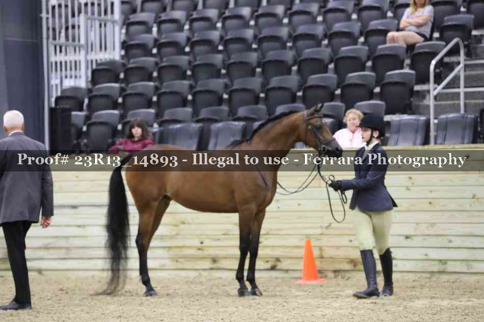 Proof Number 23R13_14893