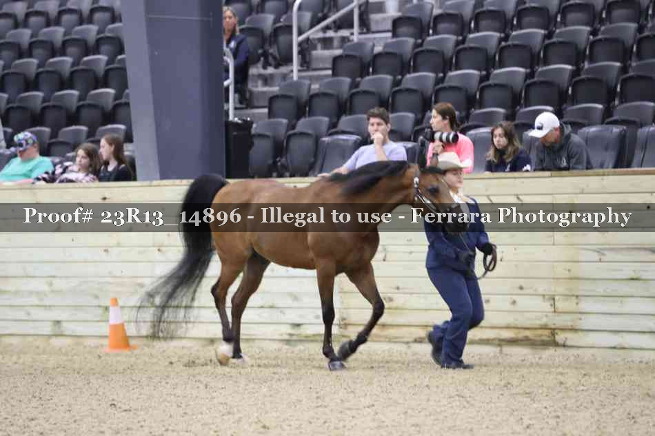 Proof Number 23R13_14896