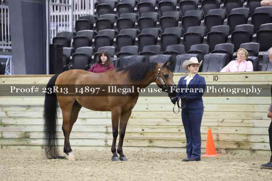 Proof Number 23R13_14897