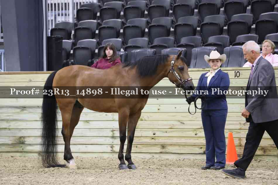 Proof Number 23R13_14898