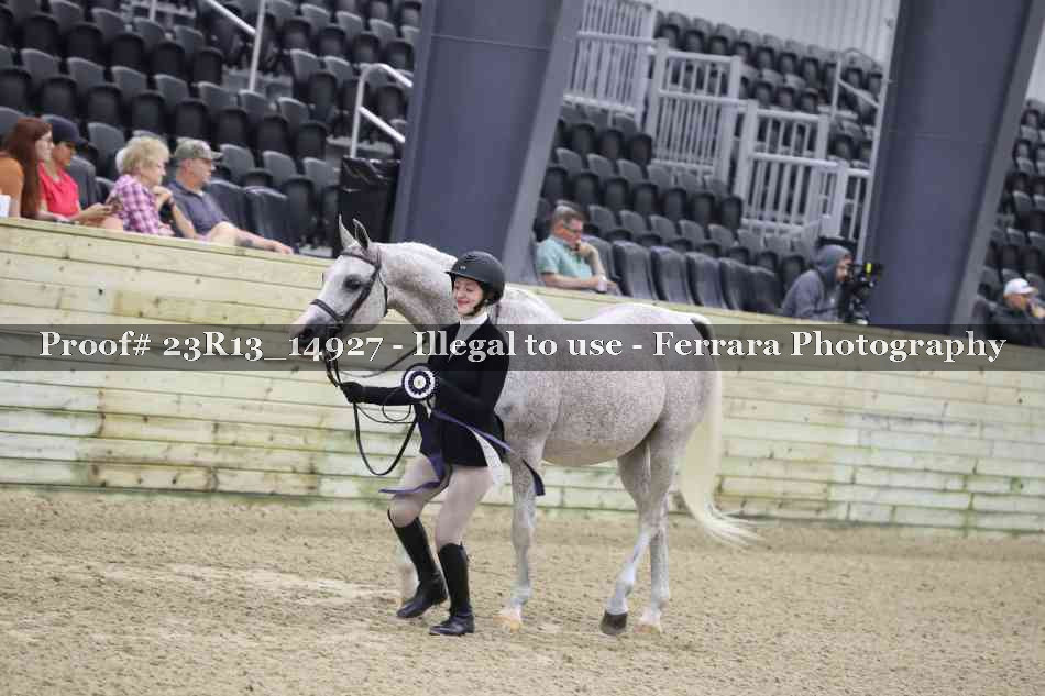 Proof Number 23R13_14927