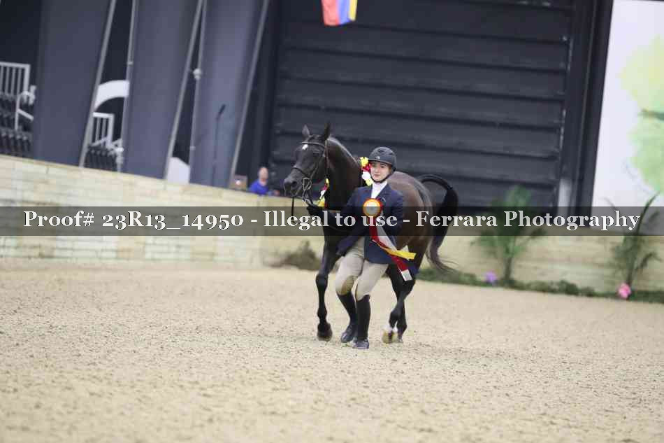 Proof Number 23R13_14950
