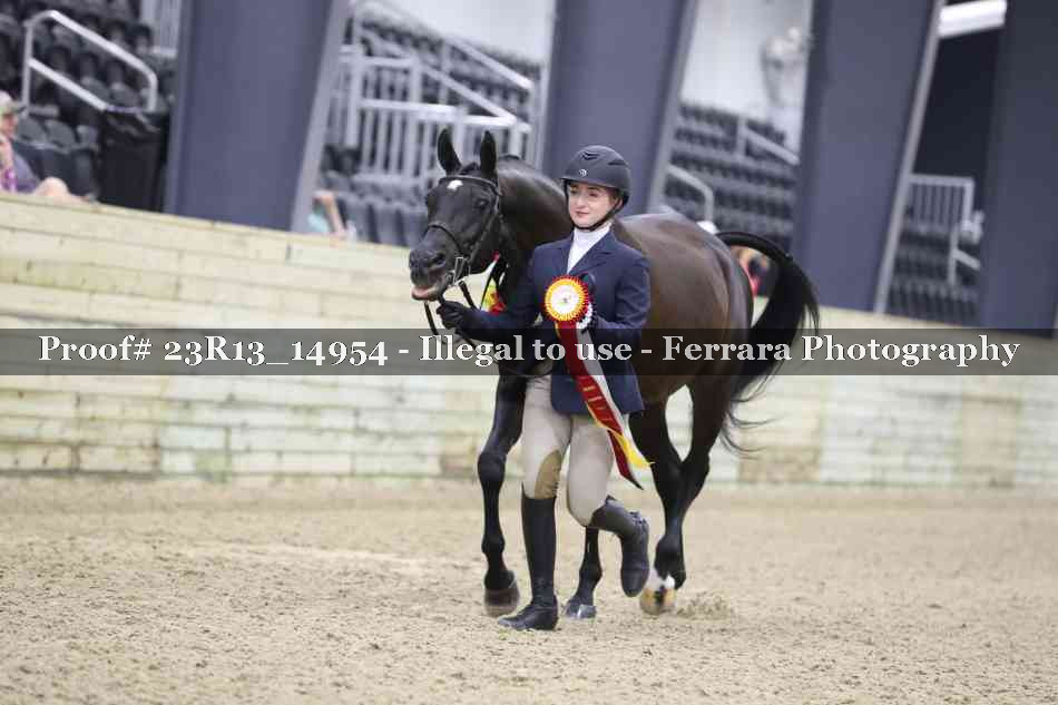 Proof Number 23R13_14954