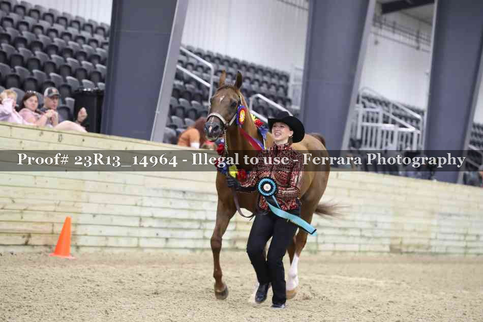 Proof Number 23R13_14964