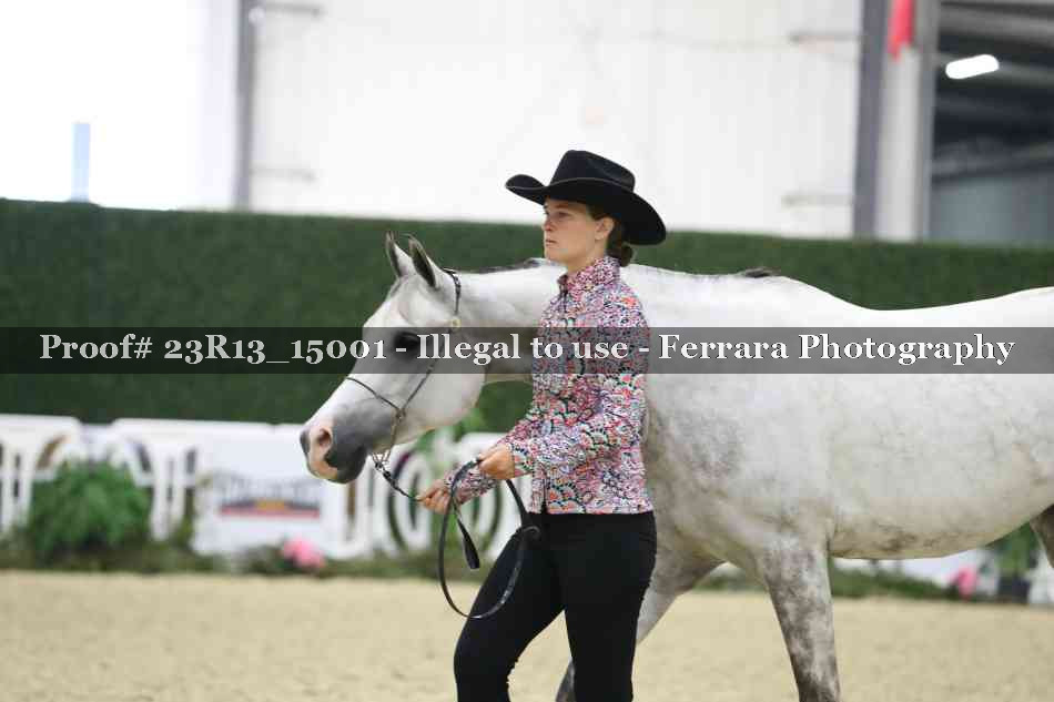 Proof Number 23R13_15001