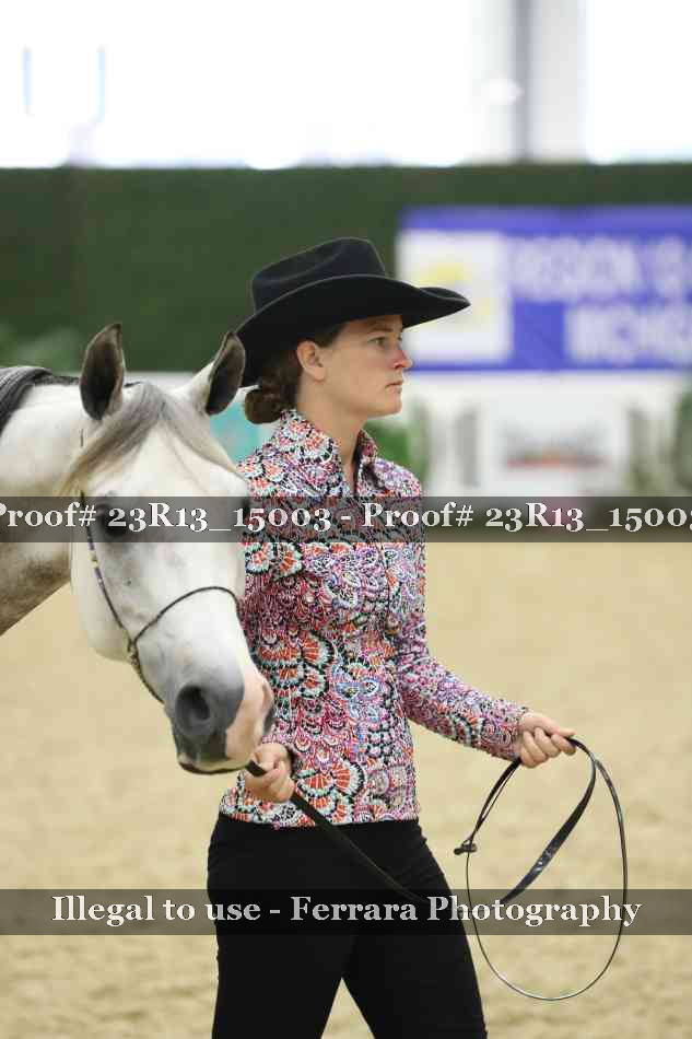 Proof Number 23R13_15003
