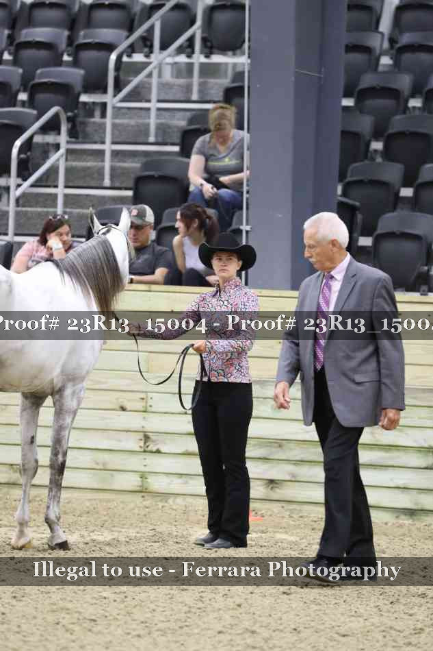 Proof Number 23R13_15004