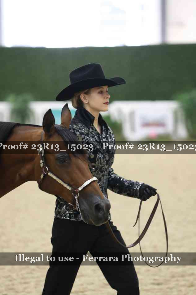 Proof Number 23R13_15023