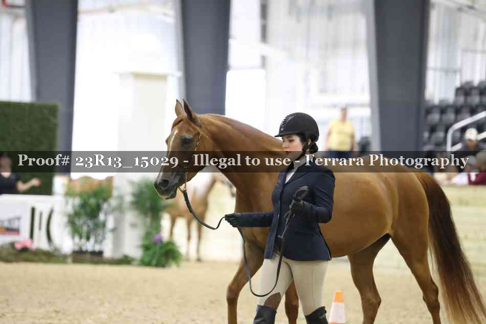 Proof Number 23R13_15029