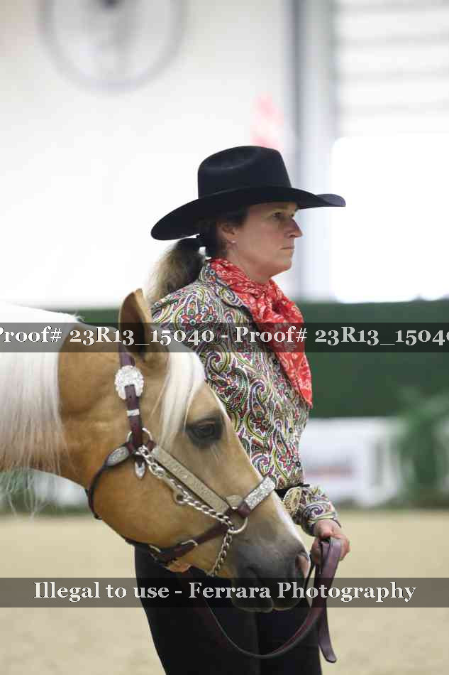 Proof Number 23R13_15040