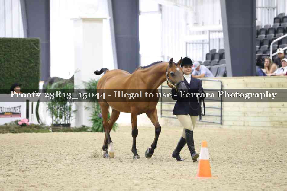 Proof Number 23R13_15044