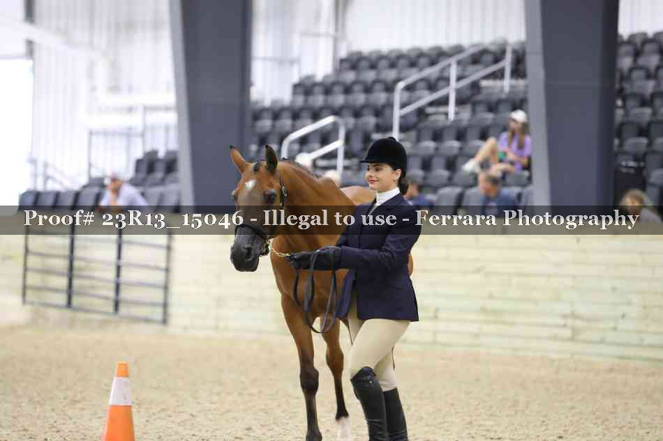 Proof Number 23R13_15046