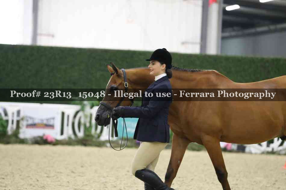 Proof Number 23R13_15048