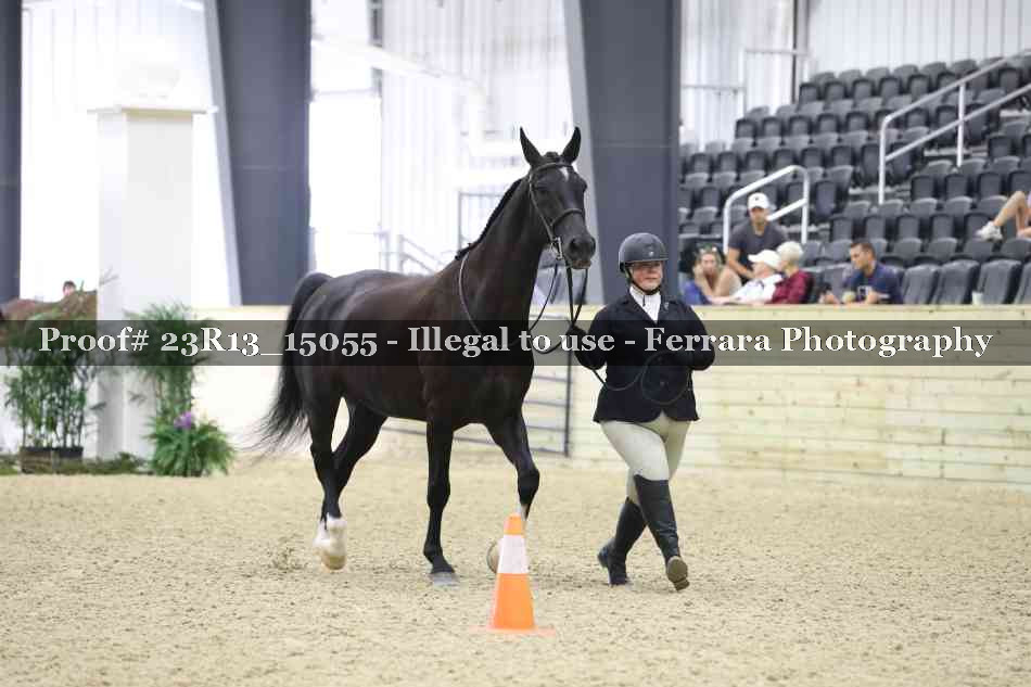 Proof Number 23R13_15055