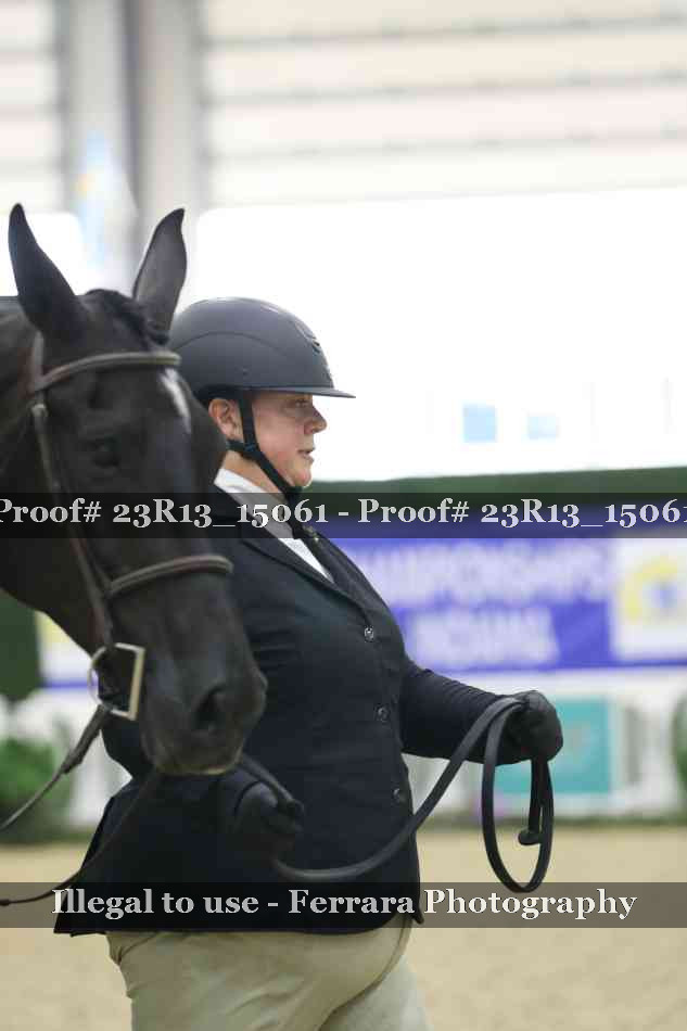 Proof Number 23R13_15061