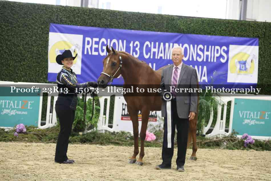 Proof Number 23R13_15073