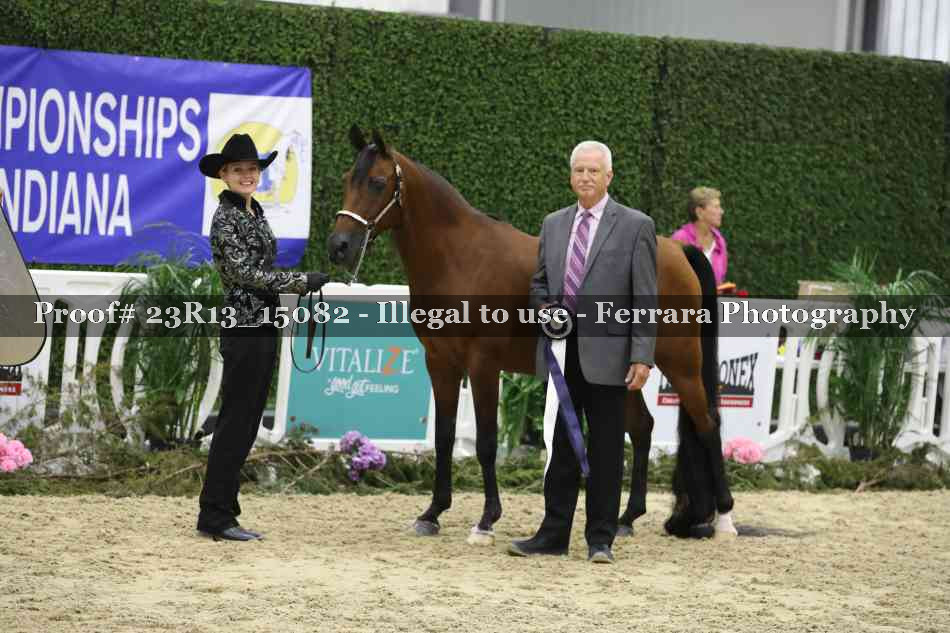 Proof Number 23R13_15082