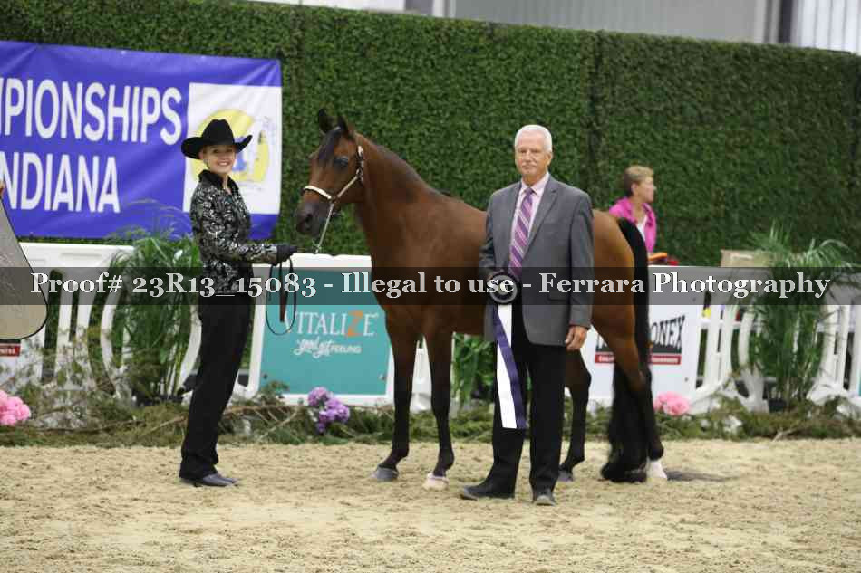 Proof Number 23R13_15083
