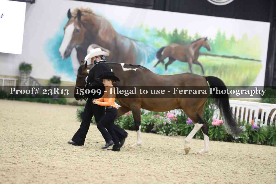 Proof Number 23R13_15099