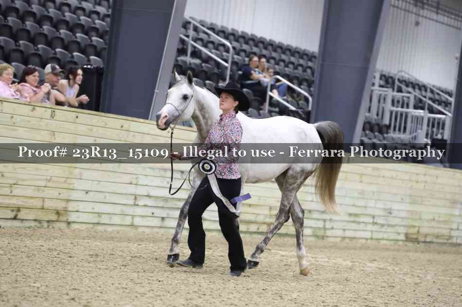Proof Number 23R13_15109