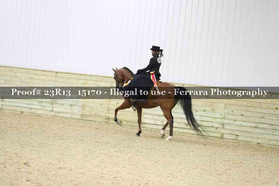Proof Number 23R13_15170