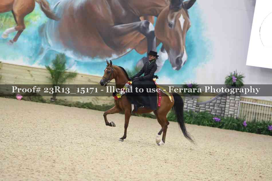 Proof Number 23R13_15171