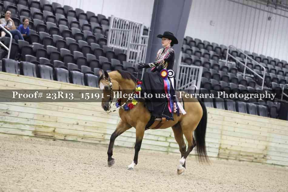 Proof Number 23R13_15191