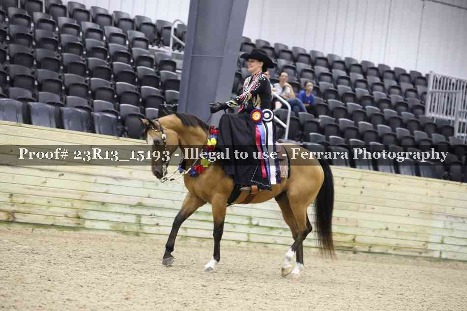 Proof Number 23R13_15193