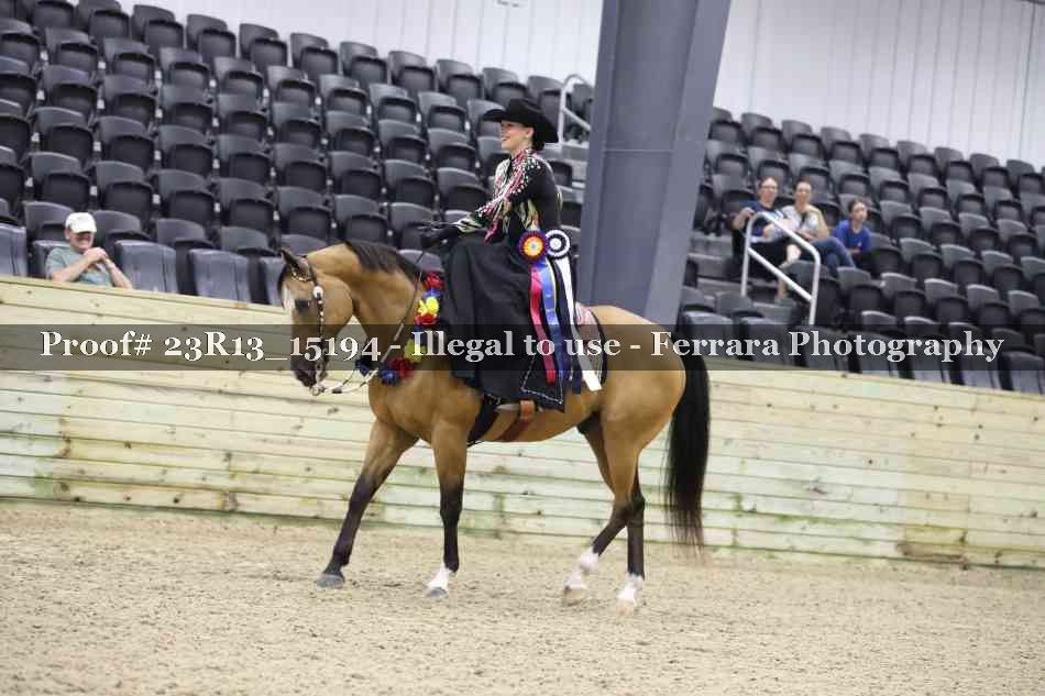 Proof Number 23R13_15194
