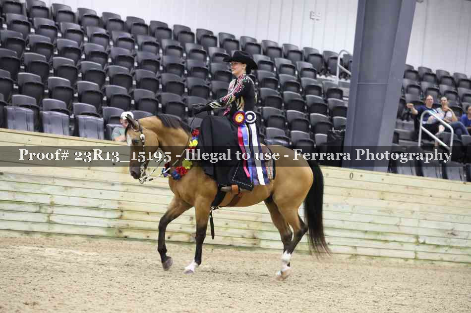 Proof Number 23R13_15195