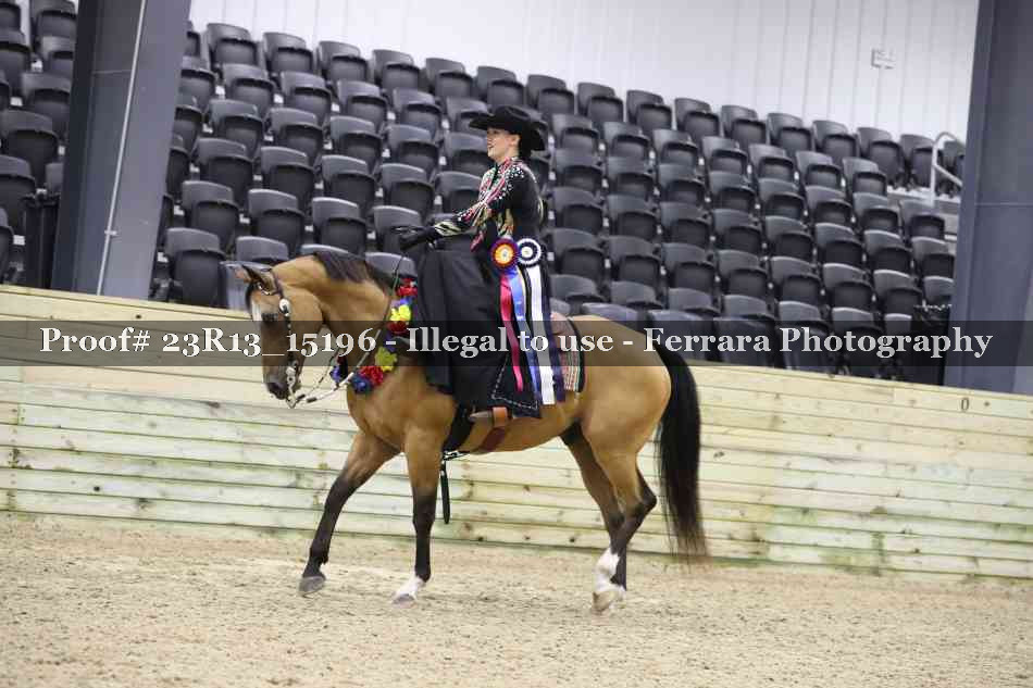 Proof Number 23R13_15196